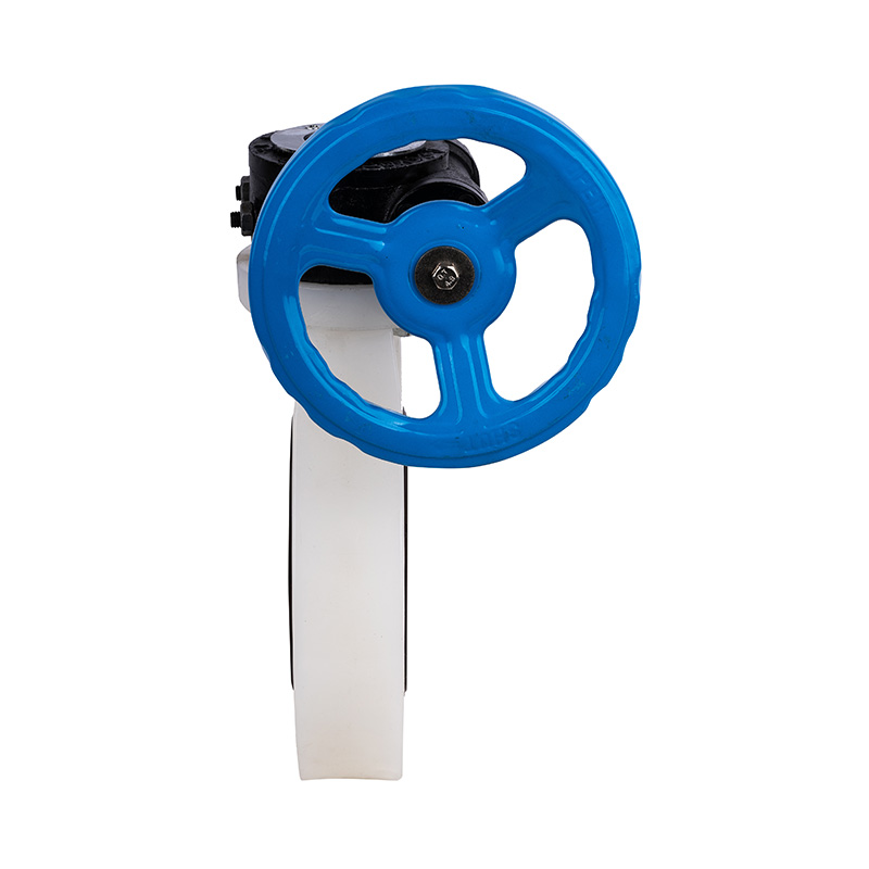 PVDF D371X-10F Червячный клапан-бабочка DN32-1000 ГБ Стандарт