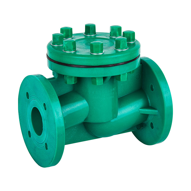 FRPP H41F-10S Обратный клапан жизненного типа DN40-80 ГБ Стандарт